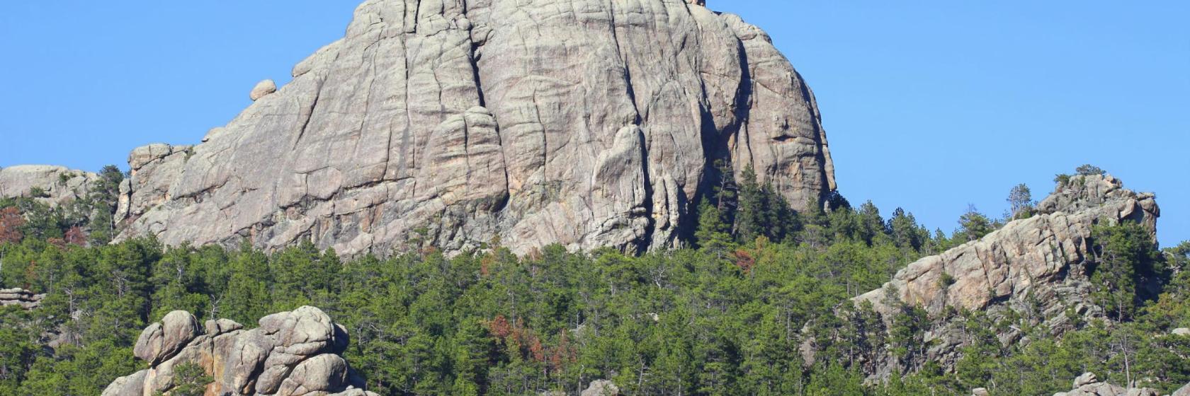 Black Hills National Forest